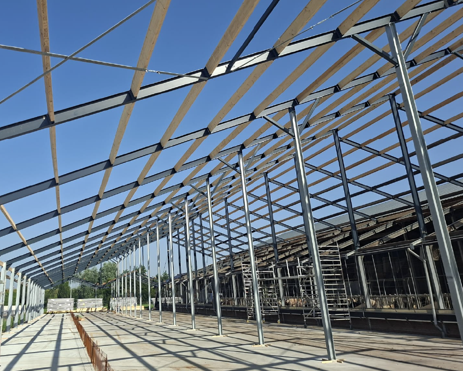 Constructie van een melkveestal in Den Dungen onder een helderblauwe lucht, met houten balken, metalen steunen en lange, geometrische schaduwen die een open tafereel vormen.